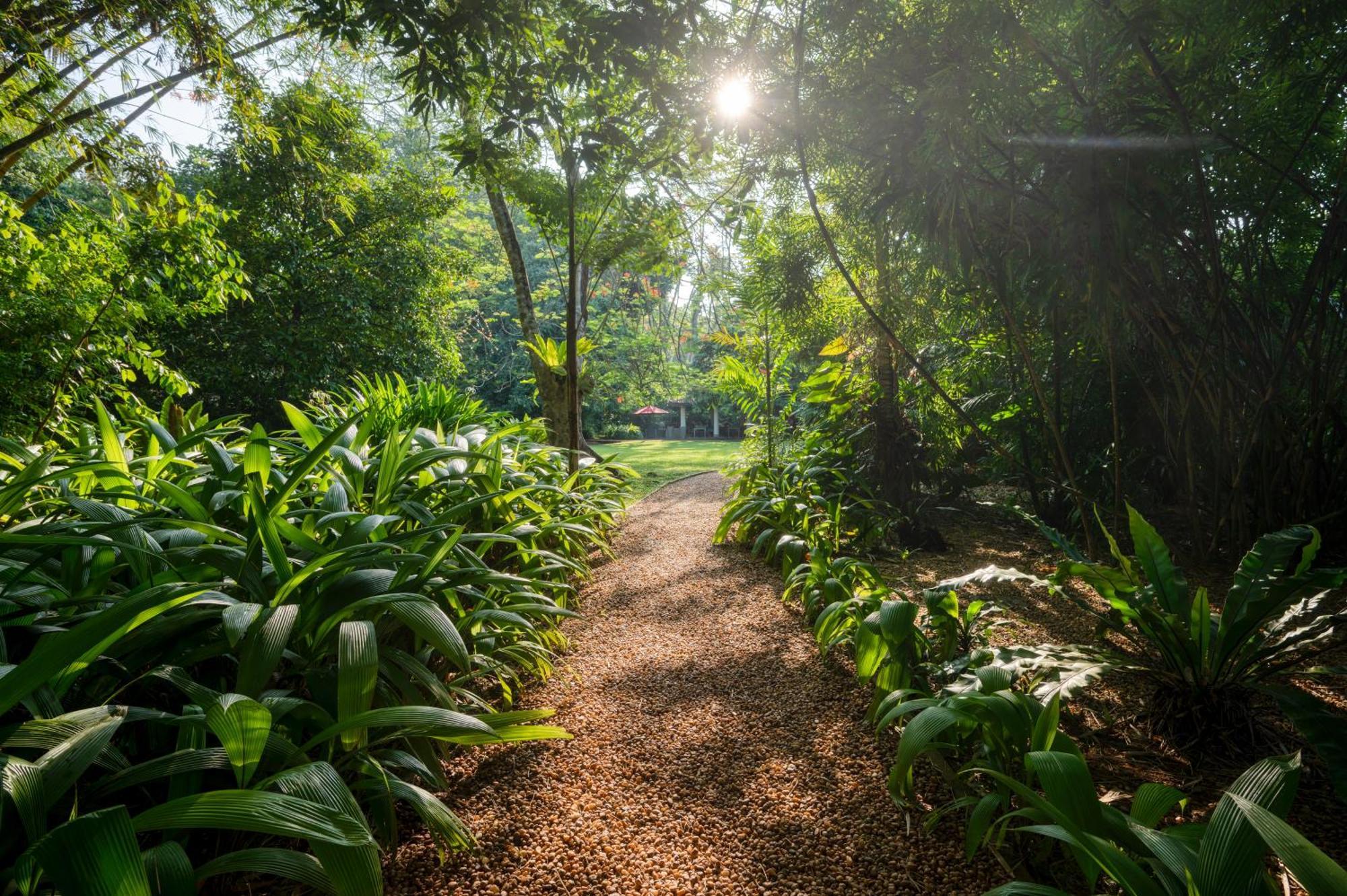 Wallawwa Katunayaka Buitenkant foto